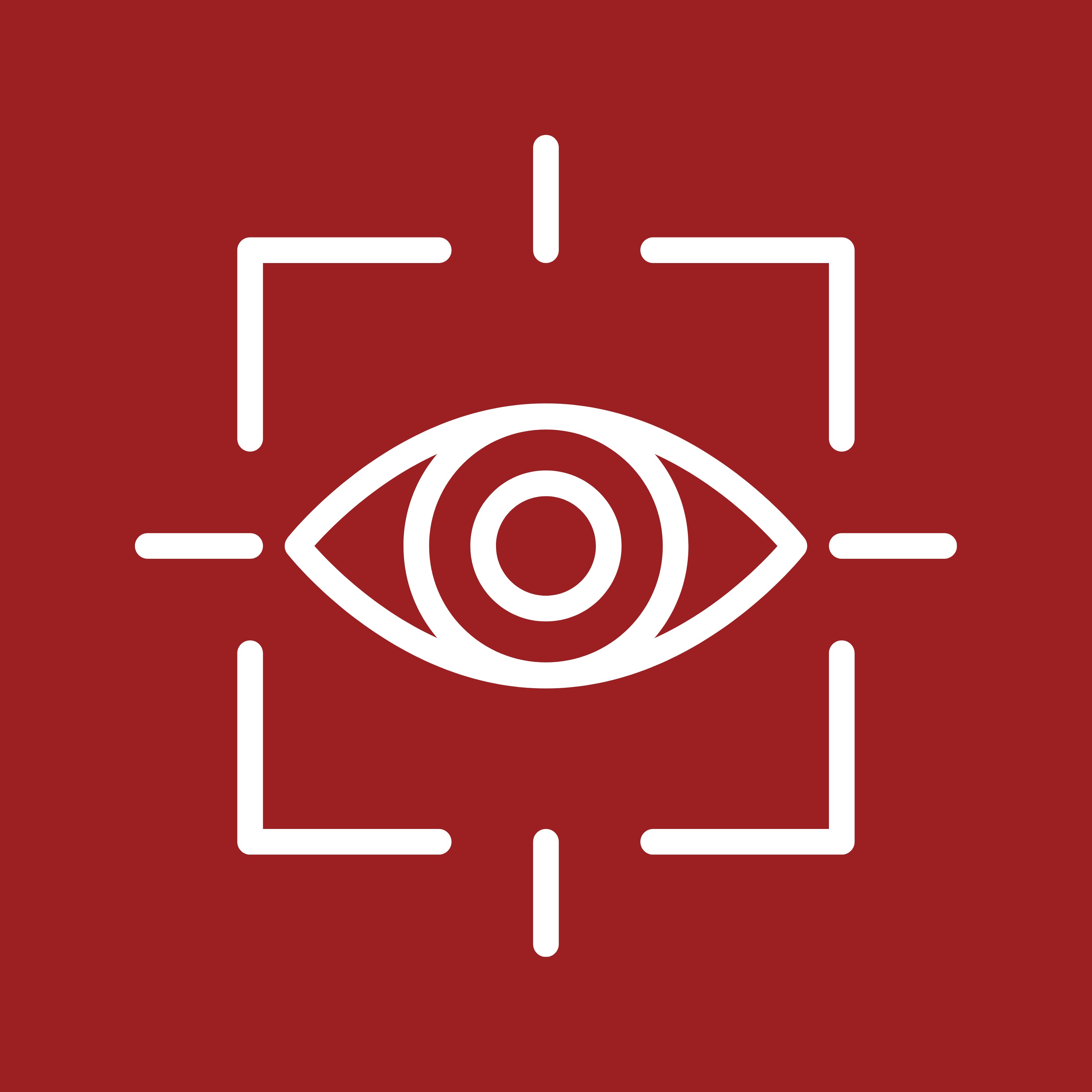Vision